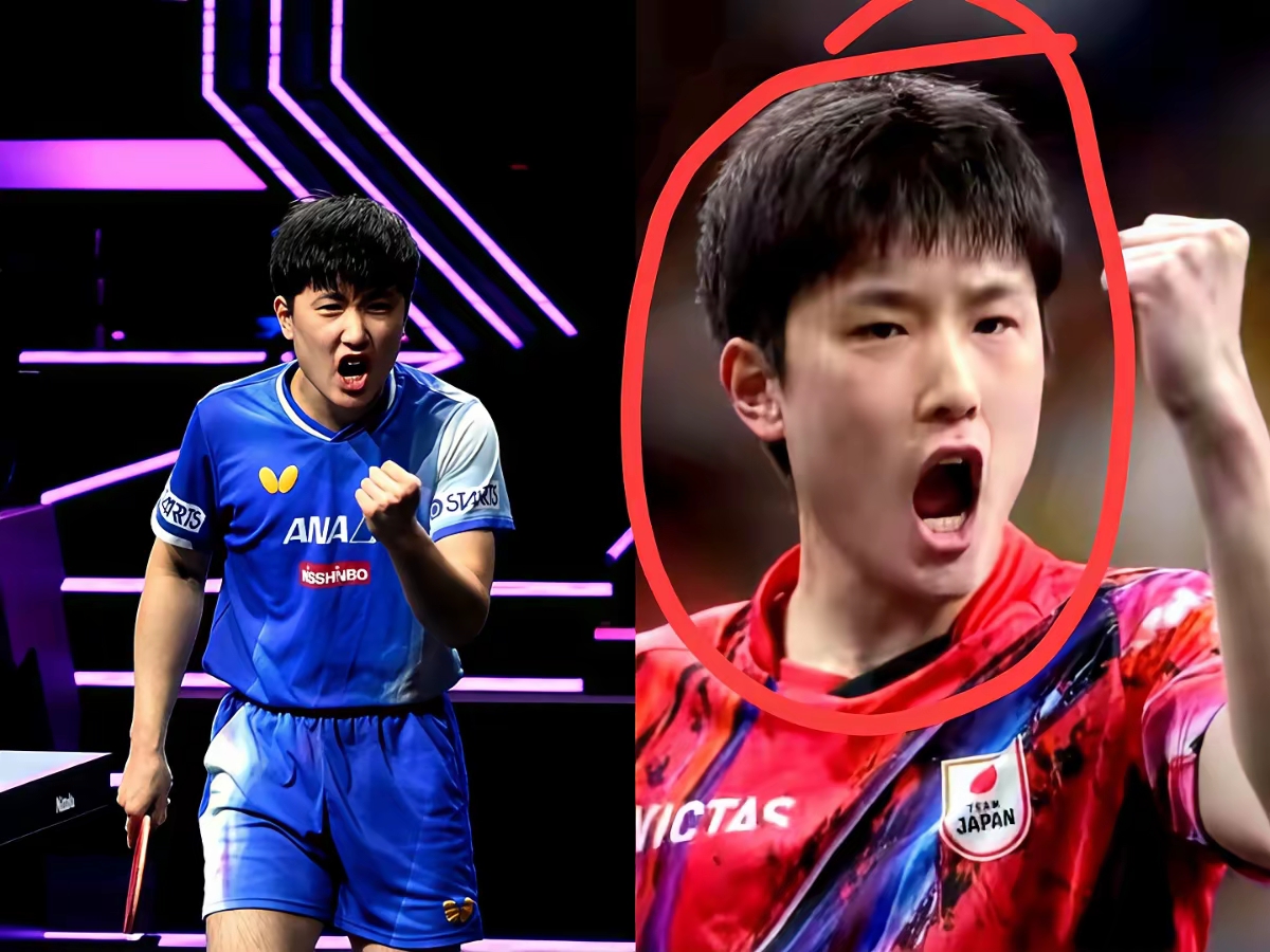 德国队轻取日本队，张本智和高光表现的简单介绍